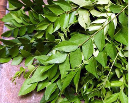 Fm curry leaves